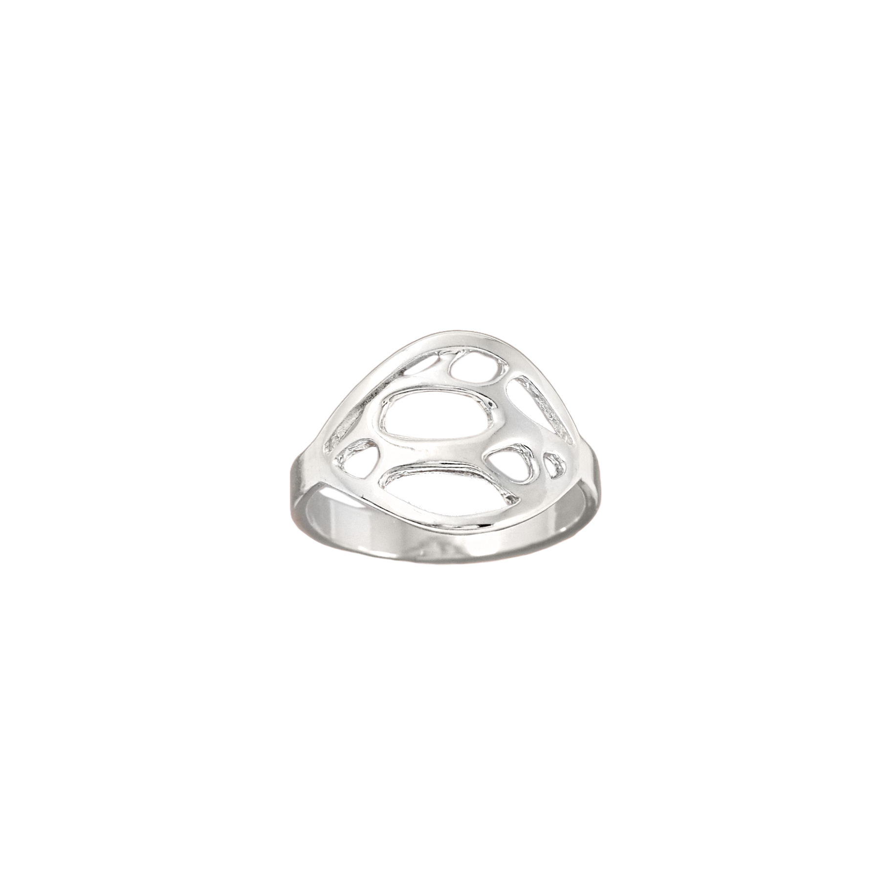 silver oval botanical signet ring on white background
