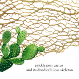 Gold Vermeil Slender Cactus Cuff Bracelet