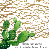 Gold Vermeil Small Cactus Hoop Post Earrings