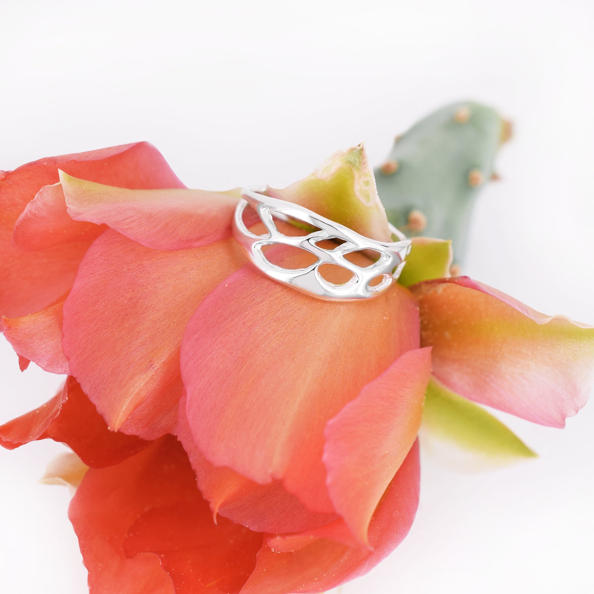 narrow band cactus ring on white background