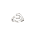 silver oval botanical signet ring on white background