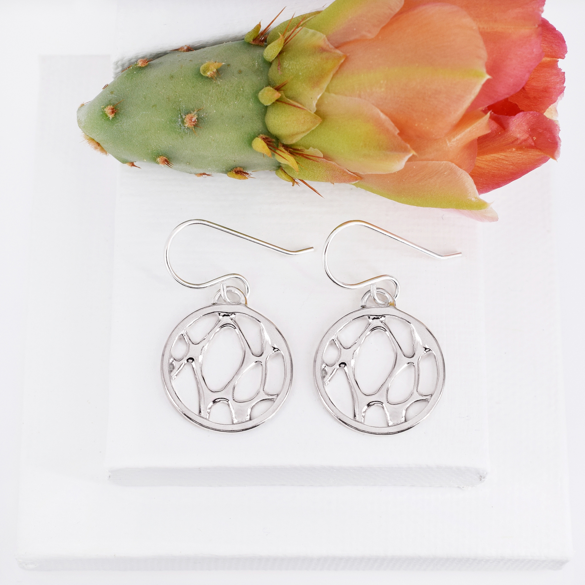 Small Framed Circle Cactus Earrings